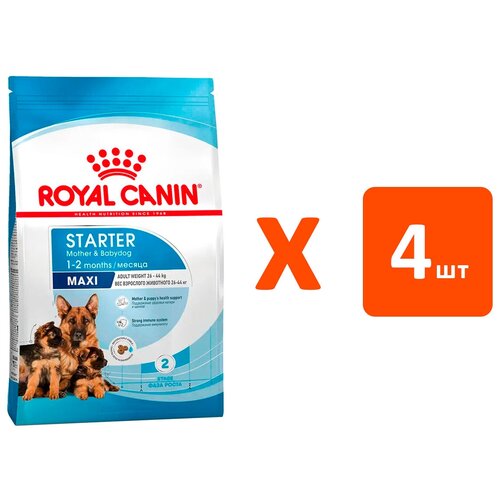 фото ROYAL CANIN MAXI STARTER для щенков крупных пород до 2 месяцев, беременных и кормящих сук (4 кг х 4 шт)