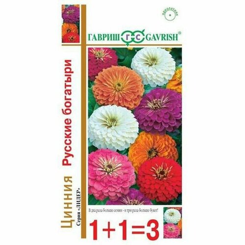 Семена Цинния Русские богатыри, смесь (однолетние) (гавриш) 0,5г сер1+1 фото