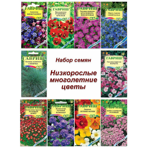 Набор семян, семена низкорослых многолетних цветов - аквилегия, виола, примула, колокольчик и др фото