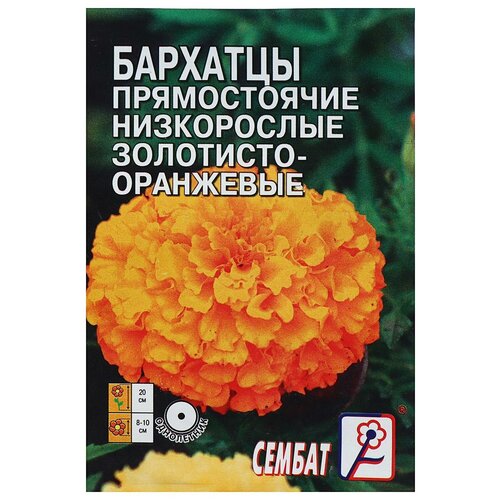 фото Семена цветов Бархатцы прямостоячий низкорослый золотисто-оранжевый, О, 0,1 г