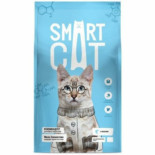 фото SmartCat Сухой корм для стерилизованных кошек с лососем, 0.4 кг