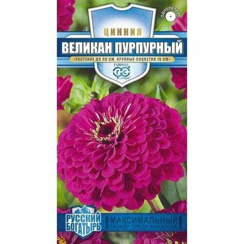 Семена Цинния Великан пурпурный (однолетние) (гавриш) 0,3г Русский богатырь Н18 фото