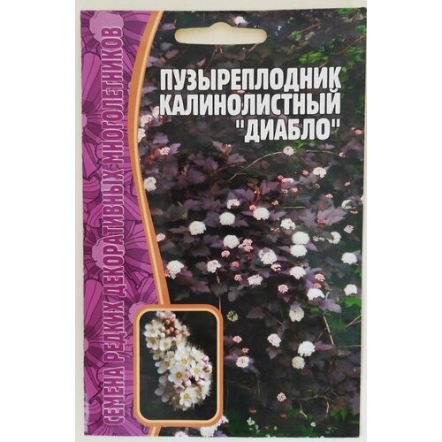 Семена редких многолетников: Пузыреплодник диабло (15шт) фото