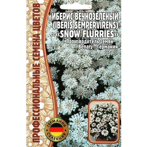 Иберис вечнозелёный SNOW FLURRIES, многолетник ( 1 уп: 5 семян ) фото