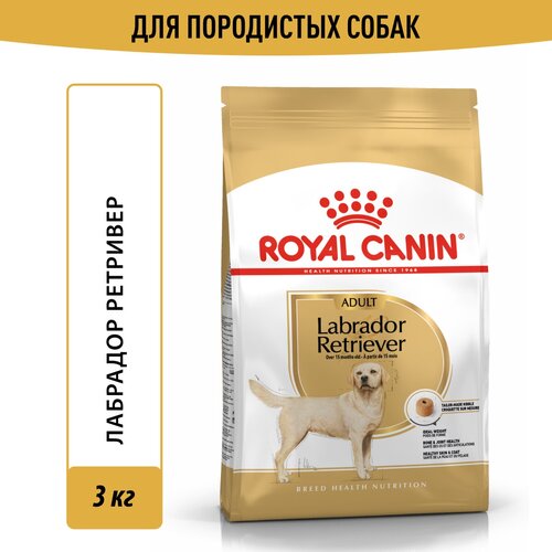 фото Корм для собак Royal Canin Labrador Retriever (Лабрадор Ретривер Эдалт) Корм сухой для взрослых собак породы Лабрадор Ретривер от 15 месяцев, 3 кг