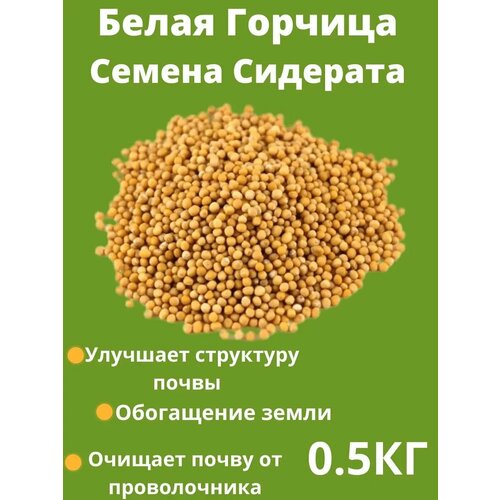 Горчица семена сидерат 0.5 кг фото