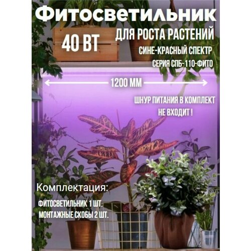 фото Светильник светодиодный СПБ-110-ФИТО сине-красный спектр 40Вт 1200мм IN HOME