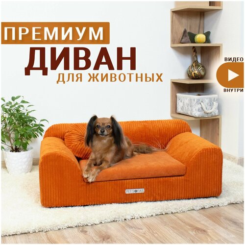 фото Лежанка-диван для собак и кошек. Деревянный каркас. I Лежак оксфорд - PET SOFAS I Размер - S