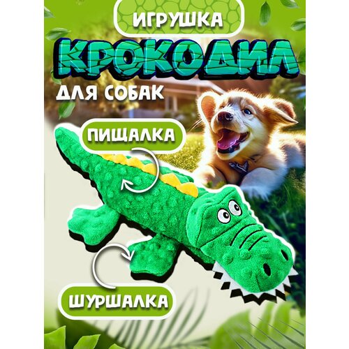 фото Игрушка для собак 