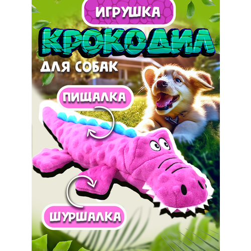 фото Игрушки для собак 