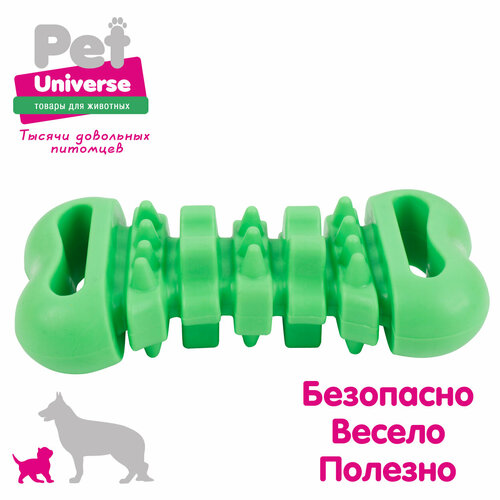 фото Игрушка для собак Pet Universe многофактурная косточка для жевания 12 см, ТПР, зелёный, PU3078GN