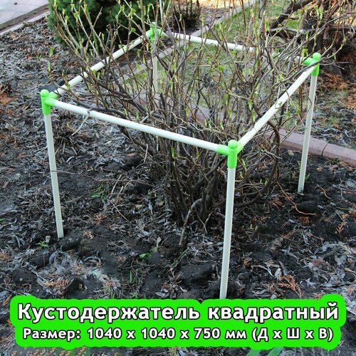 фото Кустодержатель 