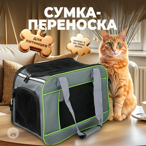 фото Сумка-переноска для животных, для кошек, для собак, 