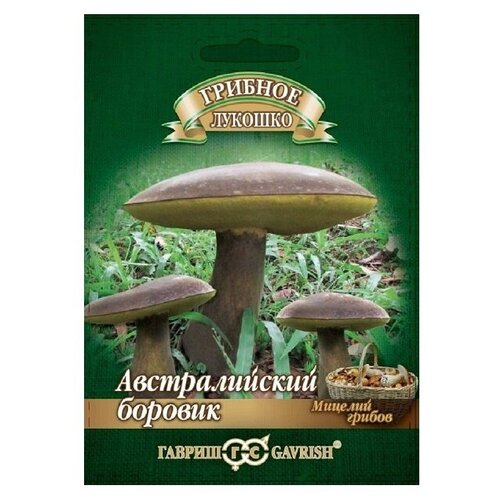 Мицелий Боровик австралийский гриб на зерновом субстрате, 15 мл, Гавриш фото