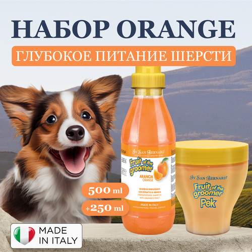 фото Выгодный набор шампунь для собак и маска Orange для глубокого питания шерсти с протеинами и экстрактом шёлка, Iv San Bernard, Италия, 500+250 мл