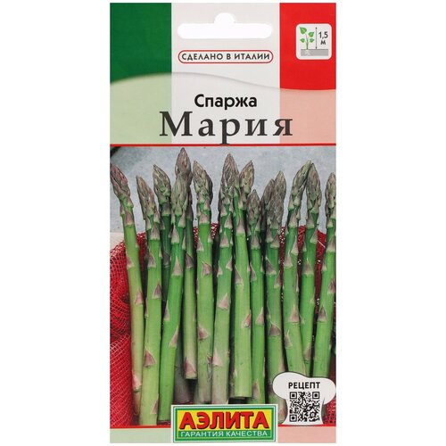 Спаржа мария Аэлита, многолетняя овощная культура с деликатесным вкусом и диетическими свойствами, идеальна для салатов и закусок, семена 0,5 г фото