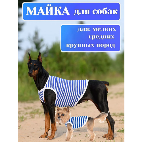 фото Майка для собак 