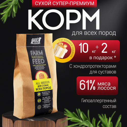 фото Сухой корм для собак средних и крупных пород Buddy Dinner Gold Line Hypoallergenic с лососем 10 кг + 2 кг в подарок