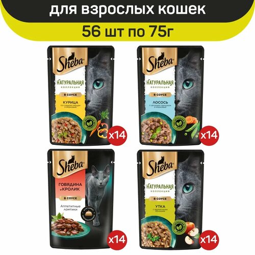 фото Влажный корм для кошек Sheba, микс вкусов в соусе: с курицей, с говядиной и кроликом, с лососем, с уткой, 56 шт по 75 г