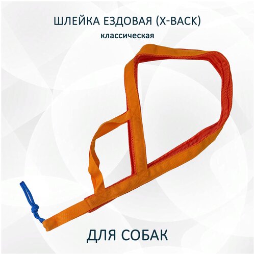 фото Шлейка ездовая totemica X-Back, классическая оранжевая 