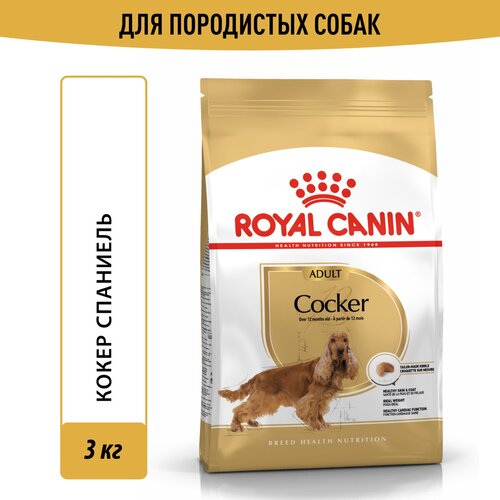 фото Корм для взрослых собак Royal Canin Cocker Adult (Кокер Эдалт) сухой для породы Кокер Спаниель от 12 месяцев, 3 кг