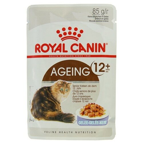 фото Влажный корм для пожилых кошек Royal Canin Ageing +12 85 г (кусочки в соусе)