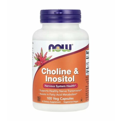 фото NOW Choline & Inositol Нау Холин и Инозитол, 500mg 100 Veg Caps