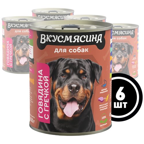 фото Влажный корм для собак вкусмясина с говядиной и гречкой, 850 г х 6 шт.