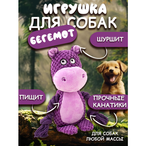 фото Игрушки для собак 