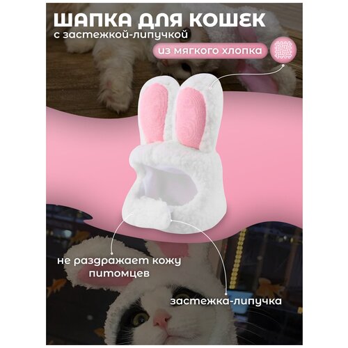 фото Шапочка с ушками для кошек и собак