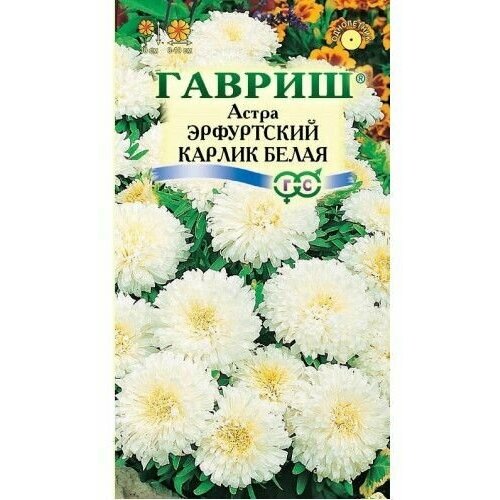 Астра однолетняя Эрфуртский карлик белая Гавриш 0,3г фото