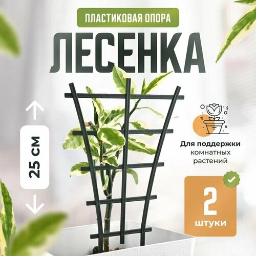 фото Опора для комнатных цветов / Держатель садовый для комнатных растений / Шпалера лесенка 25см 2 шт