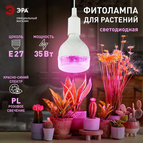 фото Фитолампа для растений светодиодная ЭРА GREEN LINE ФИТО-35W-PL-E27-GR красно-синего спектра 35 Вт Е27