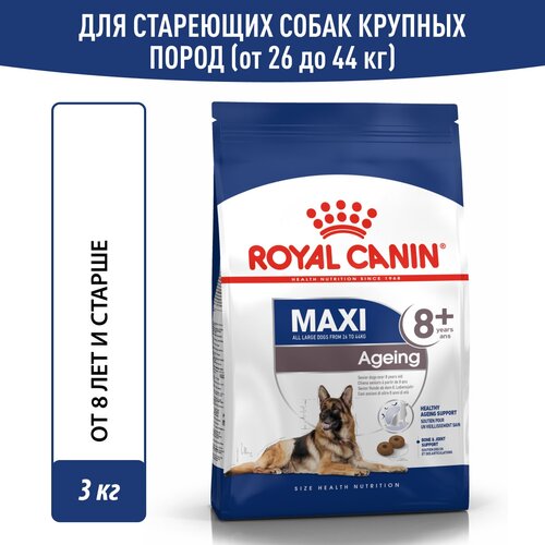 фото Корм сухой для стареющих собак Royal Canin Maxi Ageing 8+ (Макси Эйджинг 8+) крупных размеров от 8 лет и старше, 3 кг