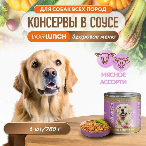 фото Корм влажный DOG LUNCH Мясное ассорти в соусе для собак (750г)