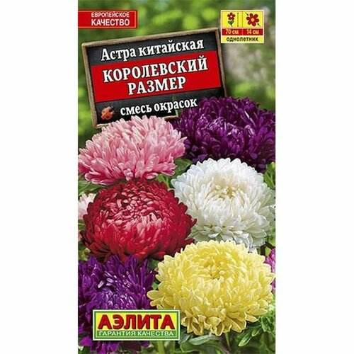 Семена Астра Королевский размер, смесь (однолетние) (Аэлита) 0,1г фото