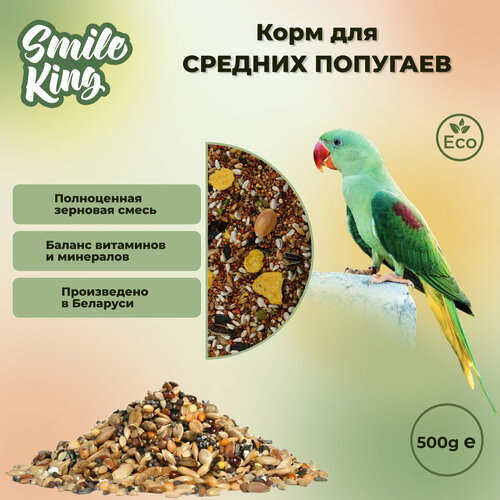 фото Корм для средних попугаев Smile King 500г (Беларусь), заказать за 584 рублей