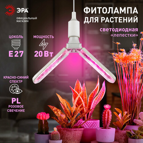 фото Фитолампа для растений светодиодная ЭРА GREEN LINE ФИТО-20W-PL-E27-GR 2-х лепестковая красно-синего спектра 24 Вт Е27