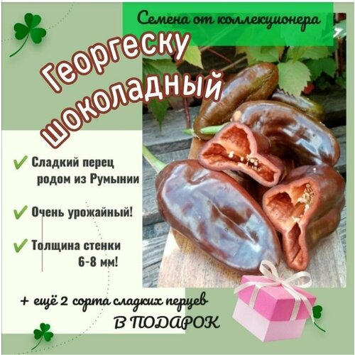 Перец сладкий 