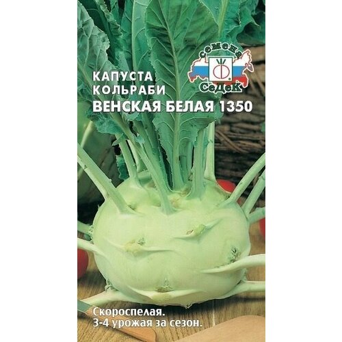 Капуста кольраби венская БЕЛАЯ 1350, семена 0,5г,1 пакет, 3-4 урожая за сезон фото