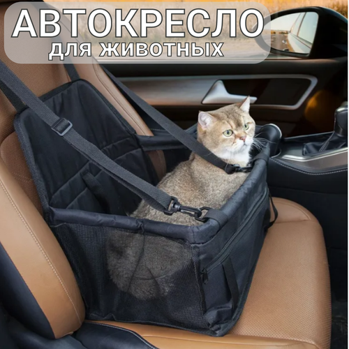 фото Автокресло для животных автомобильное кресло для кошек и собак