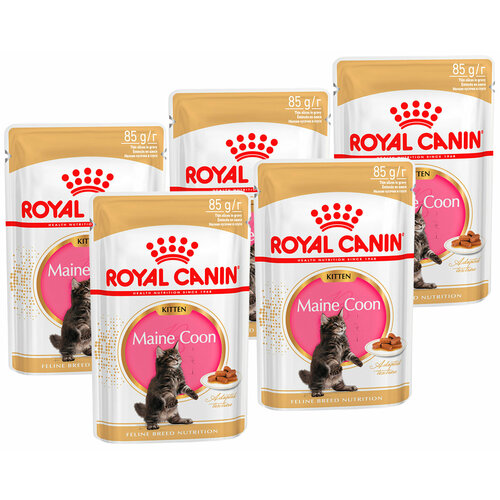 фото ROYAL CANIN MAINE COON KITTEN для котят мэйн кун в соусе пауч 85 гр 85 гр х 5 шт