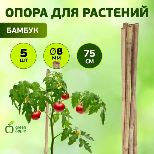 фото Опора для растений и цветов GREEN APPLE бамбуковая GBS-8-75 поддержка для растений 75см 5шт. х 8мм