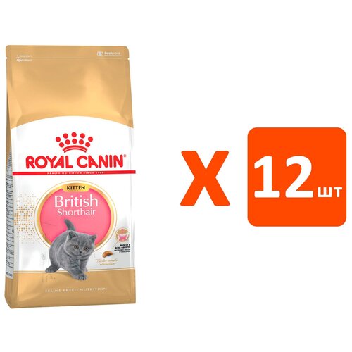 фото ROYAL CANIN BRITISH SHORTHAIR KITTEN 34 для британских короткошерстных котят (0,4 кг х 12 шт)