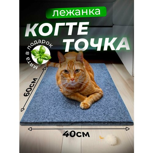 фото Когтеточка для кошки напольная лежанка с кошачьей мятой, 60х40 см/ серая