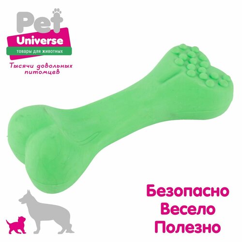 фото Игрушка для собак Pet Universe косточка с пупырышками, 12 см, ТПР, зелёный PU3071GN