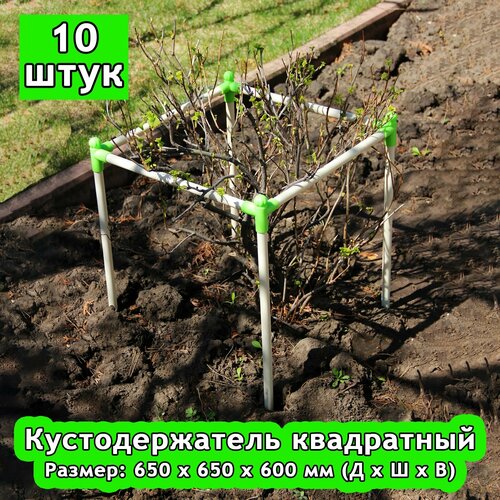 фото Кустодержатель 