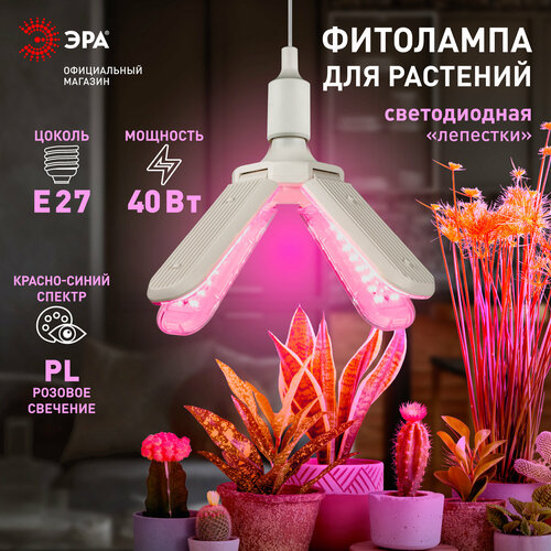 фото Фитолампа для растений светодиодная ЭРА GREEN LINE ФИТО-40W-PL-E27-GR 4-х лепестковая красно-синего спектра 40 Вт Е27