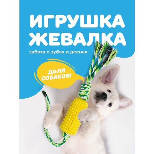 фото Резиновая игрушка для собак и щенков канат, SSY, Интерактивная игрушка для чистки зубов