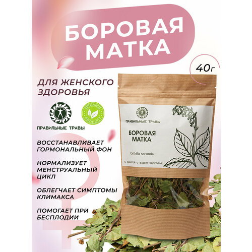 фото Боровая матка 